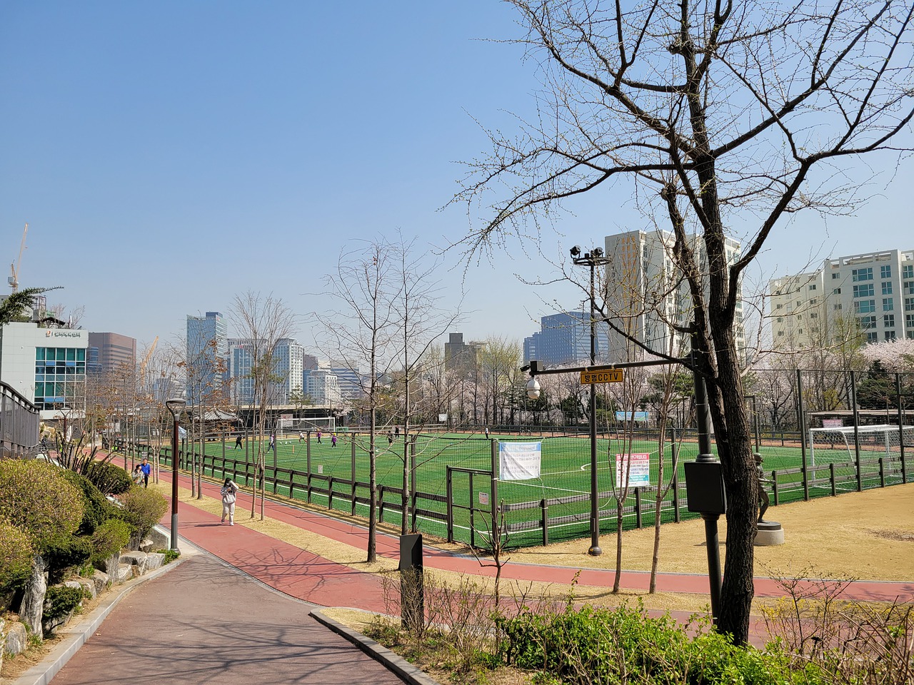 到网坛的威