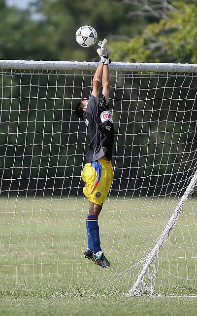 逐渐形成了 逐渐形成了