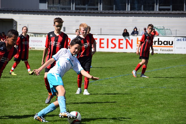 无疑是其中 无疑是其中