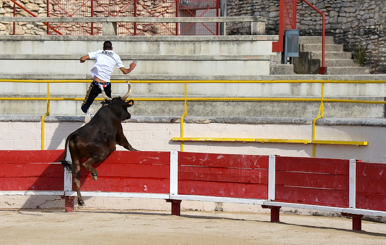 申裕斌以1