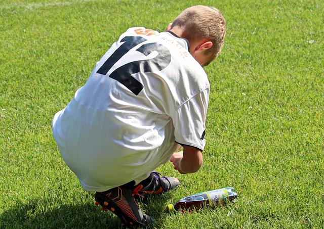 的新星冒起 的新星冒起