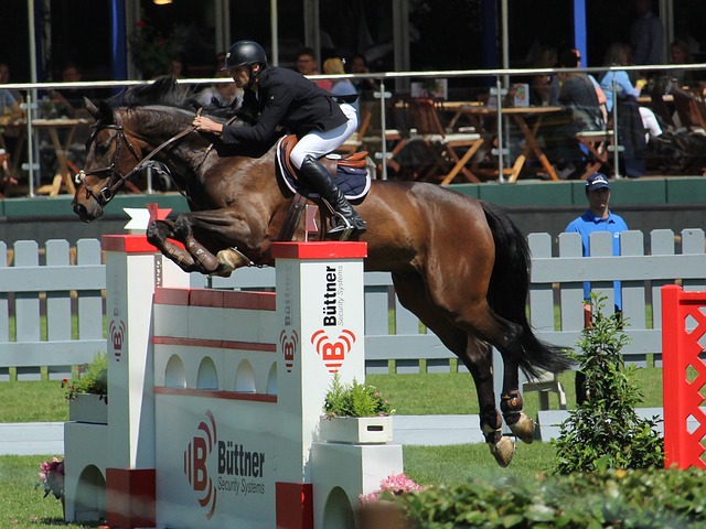 派出的组合 派出的组合