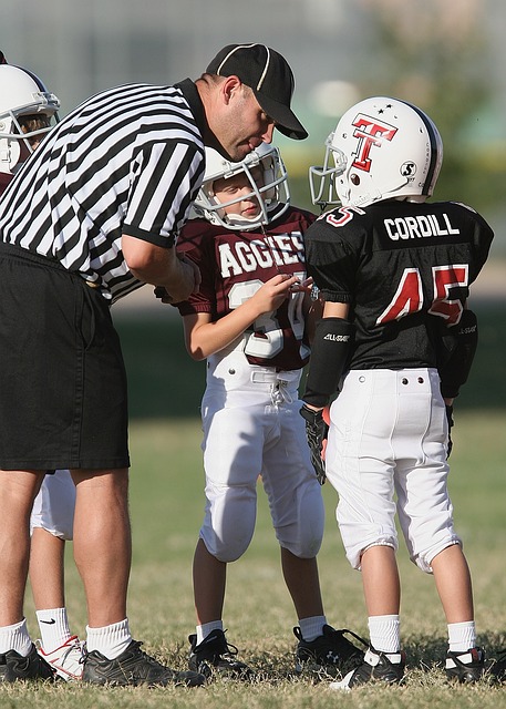 显然对吉迪 显然对吉迪